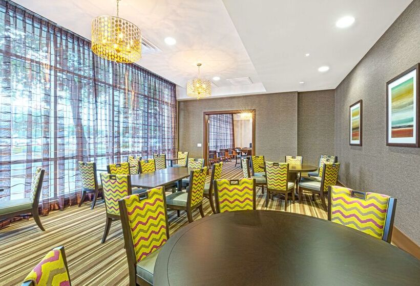 בית מלון כפרי Homewood Suites Houston Downtown