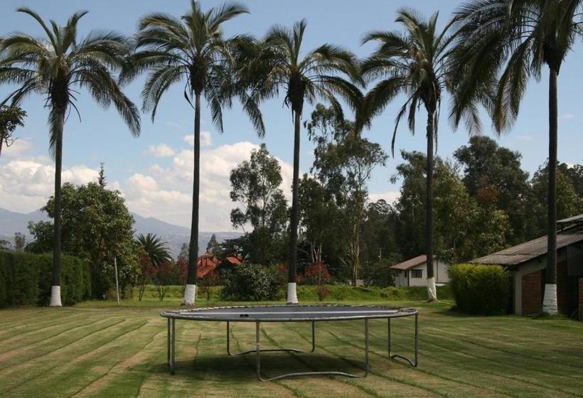 فندق Hostería Rosa Blanca