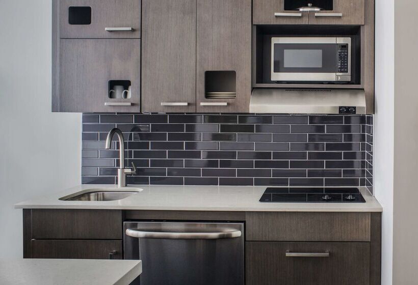 בית מלון כפרי Hyatt House New York/chelsea