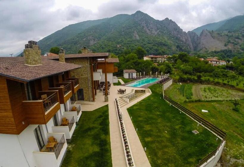 酒店 Irene's Resort