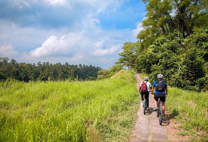 ホテル Jannata Resort And Spa