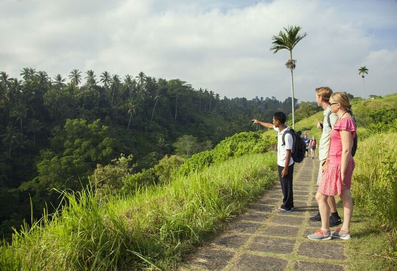 ホテル Jannata Resort And Spa