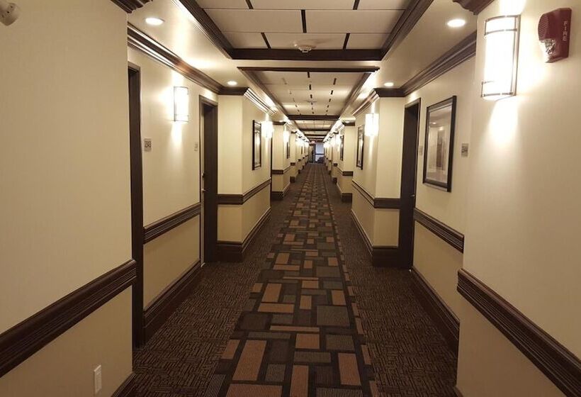 בית מלון כפרי Kindersley Inn