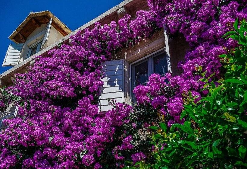 فندق Lemongarden  Adults Only