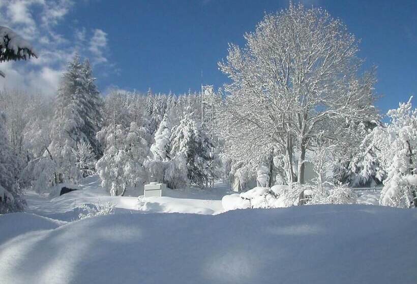 호텔 Logis Hôtel Restaurant Les Cévennes
