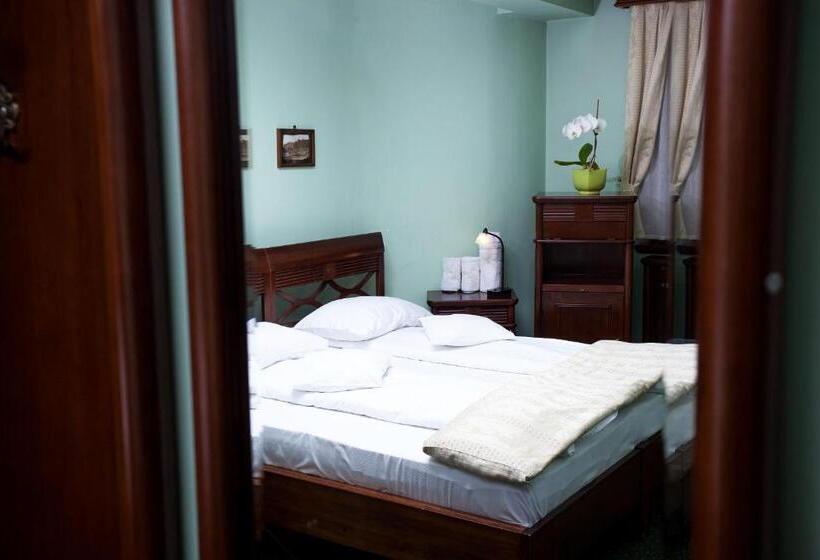 ホテル Pension Brasovu Vechi