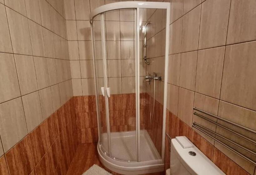 Отель Penzion Sileo