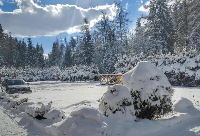 Отель Penzion Sileo