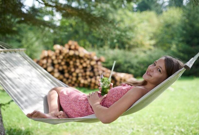 Отель Penzion Sileo