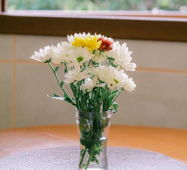 ホテル Pousada Chaday