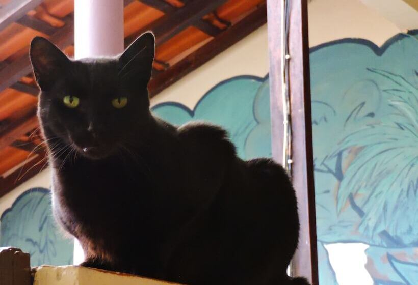 酒店 Pousada Encanto E Magia