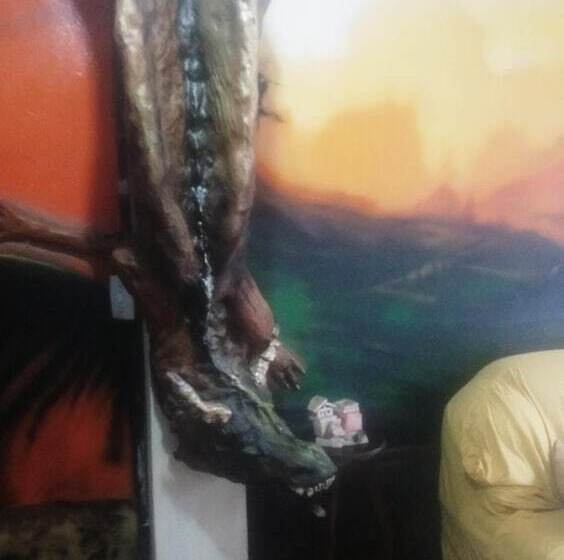 酒店 Pousada Encanto E Magia