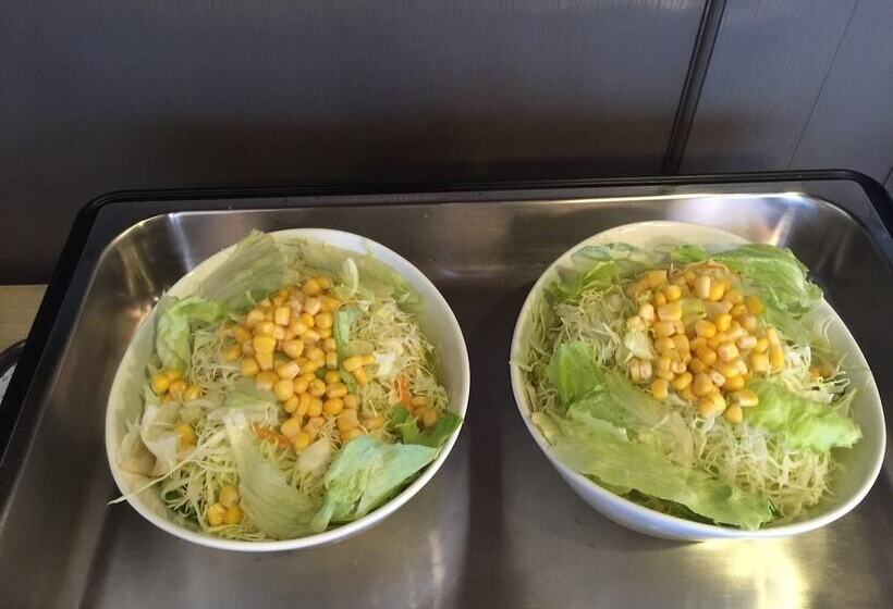 Rodisson Hotel Chubu International Airport Paradia