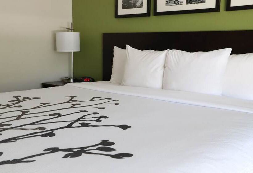 Отель Sleep Inn Ellenboro Hwy 50