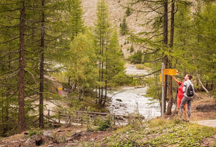 فندق The Capra Saasfee