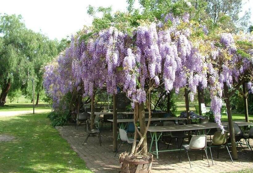 בית מלון כפרי The Old Butter Factory At Springhurst Estate