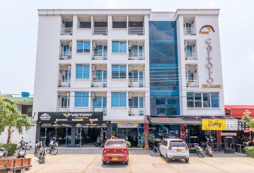 酒店 Torres Del Llano