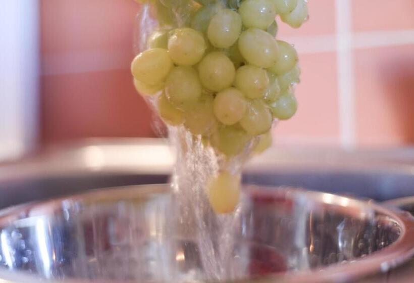 בית מלון כפרי Villa Theodora