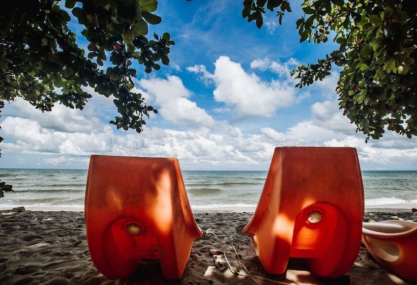 Отель White Sand Beach Resort
