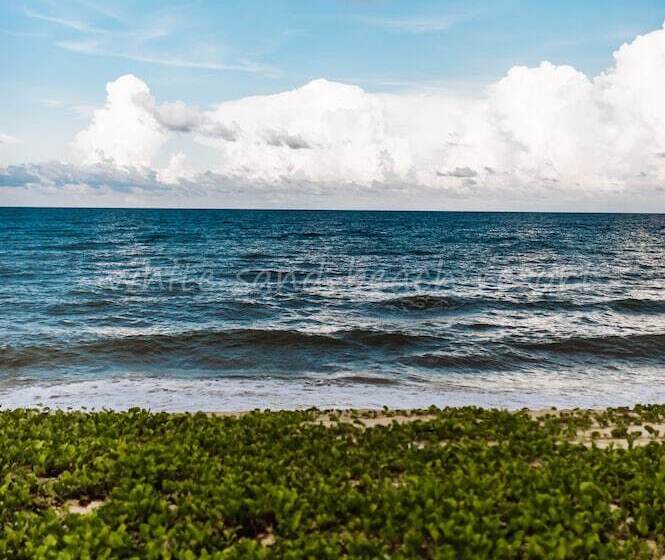 Отель White Sand Beach Resort