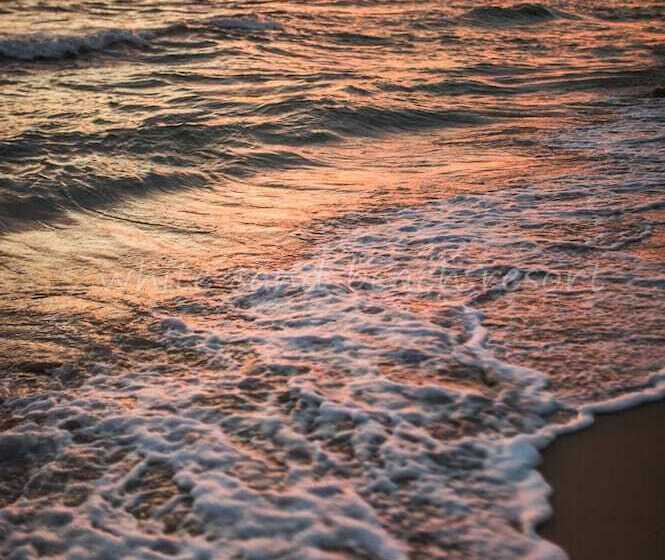 Отель White Sand Beach Resort