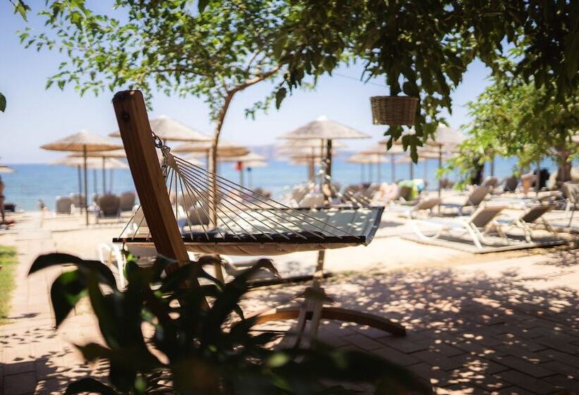 בית מלון כפרי Zoe Seaside Resort