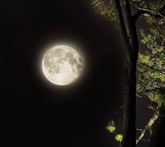 Oakcliff Bed And Breakfast