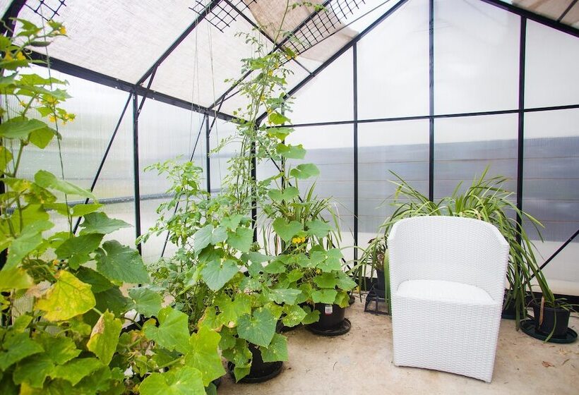 One Of A Kind Apartments