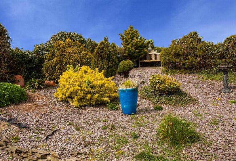 Sunville Bed And Breakfast