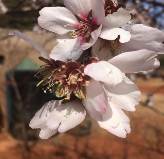 The Cradle Berry Farm