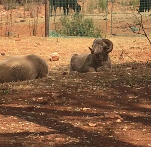 The Cradle Berry Farm