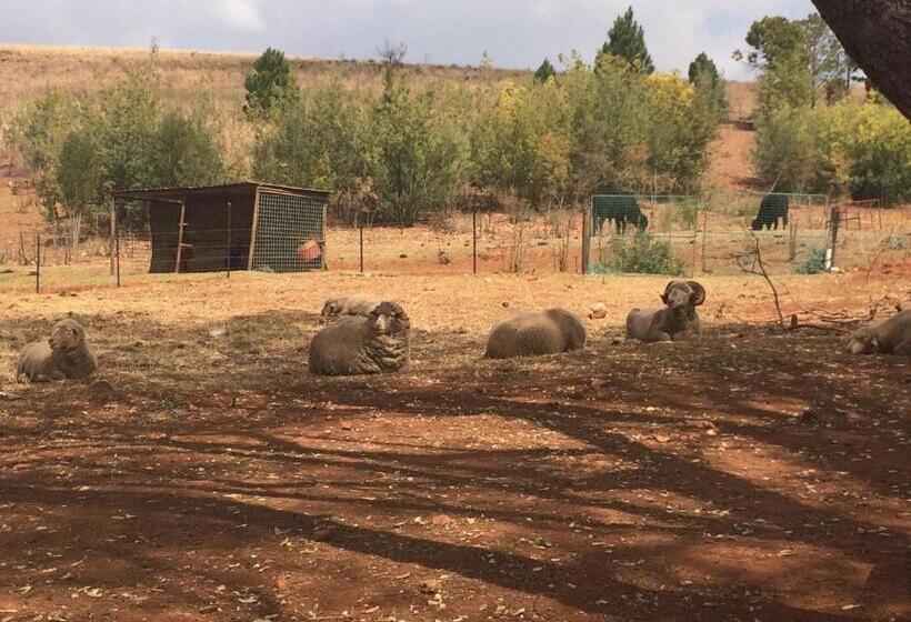The Cradle Berry Farm