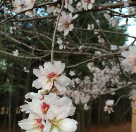 The Cradle Berry Farm