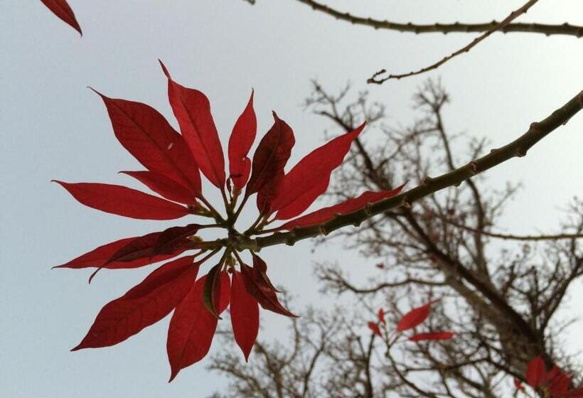 The Cradle Berry Farm