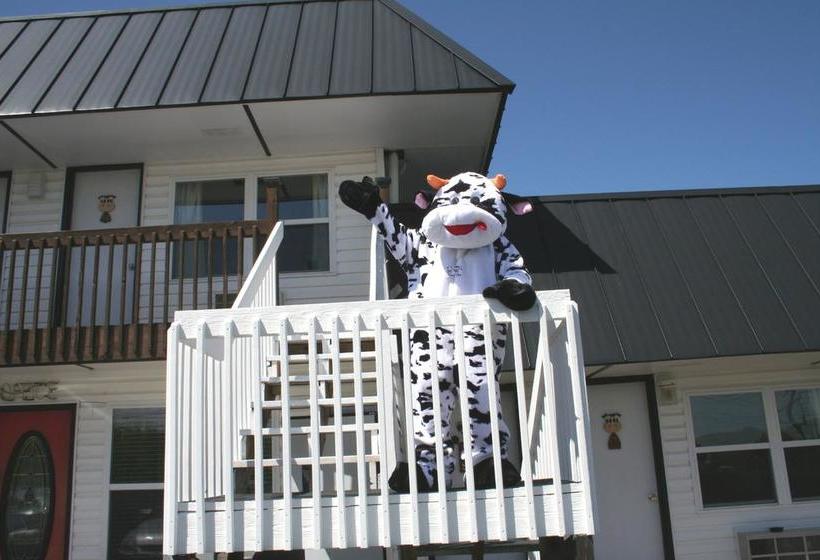 모텔 Lake Lighthouse Inn