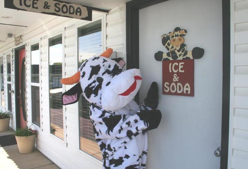 모텔 Lake Lighthouse Inn