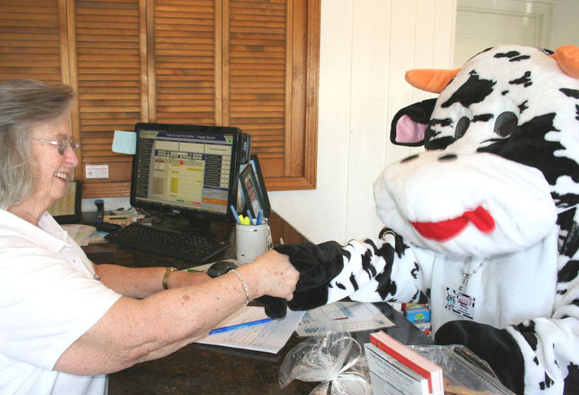 모텔 Lake Lighthouse Inn