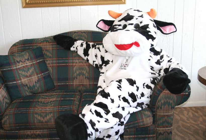 모텔 Lake Lighthouse Inn