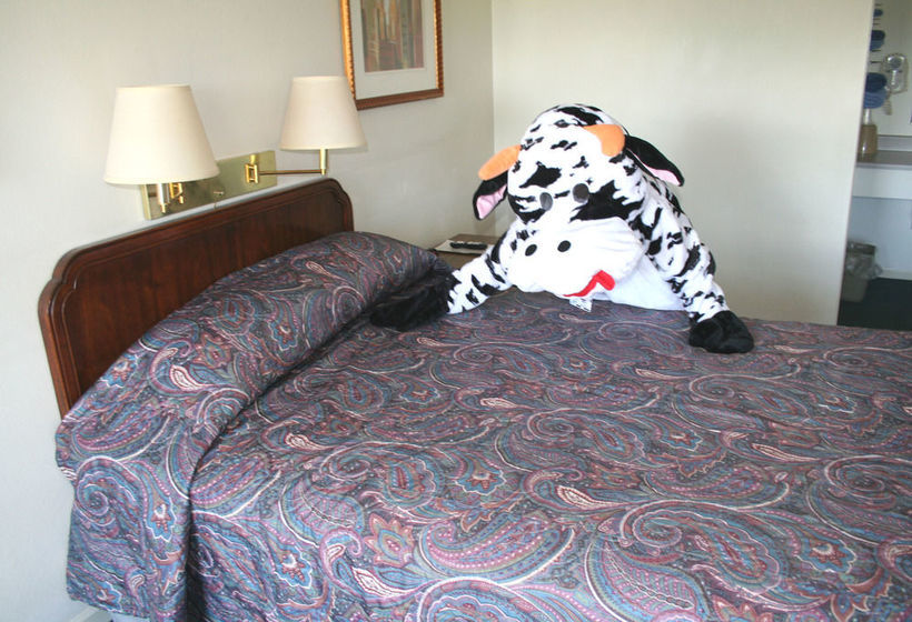 모텔 Lake Lighthouse Inn