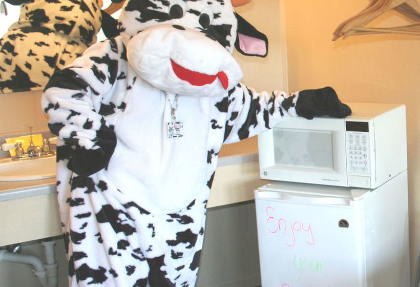 모텔 Lake Lighthouse Inn