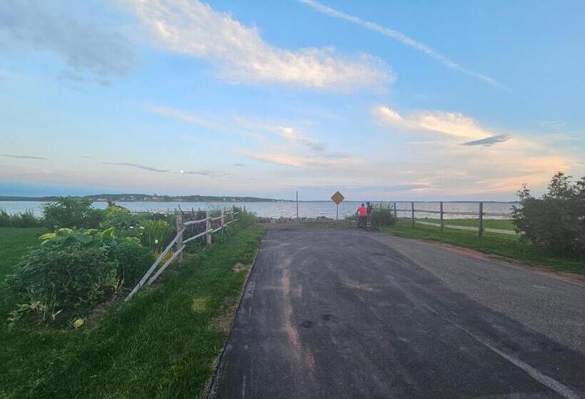 Bed & Breakfast Sunflower Guest Suites