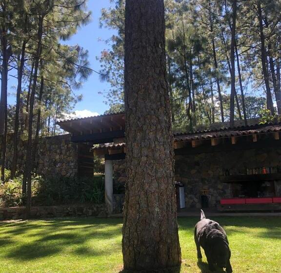 مبيت وإفطار Xomue