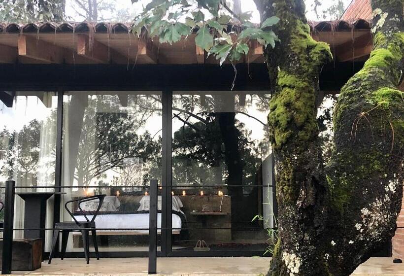 住宿加早餐  Xomue