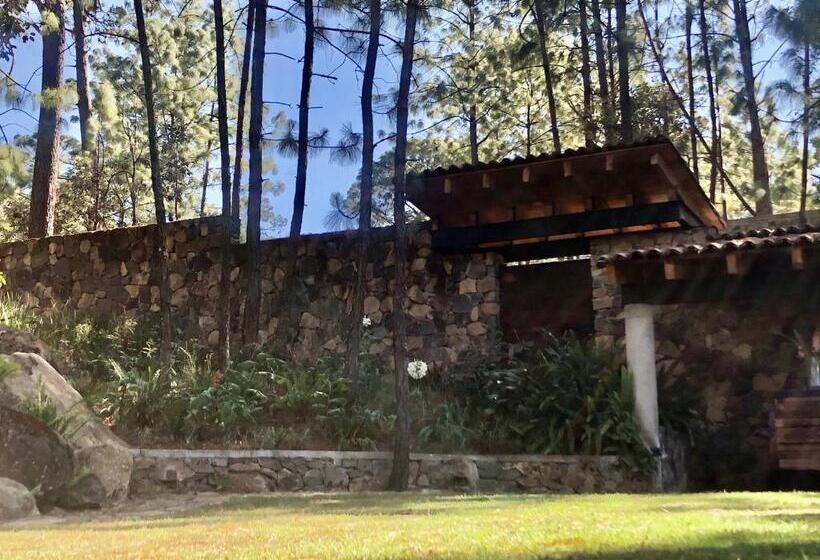 住宿加早餐  Xomue