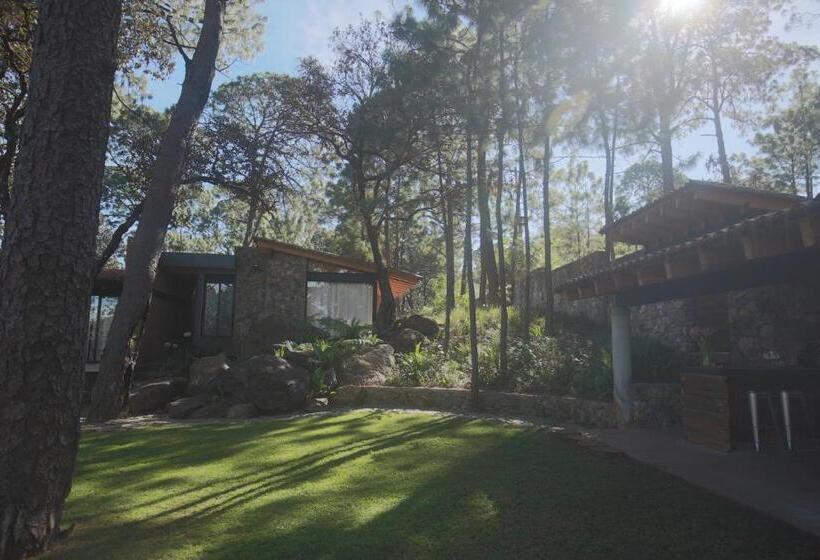 住宿加早餐  Xomue