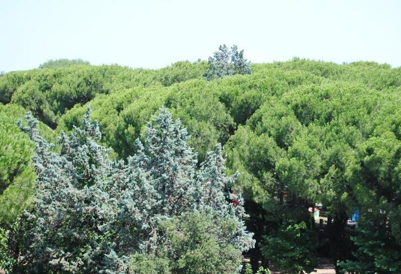 Отель Capriccio