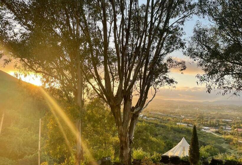 Капсульный Oтель Indigo Glamping