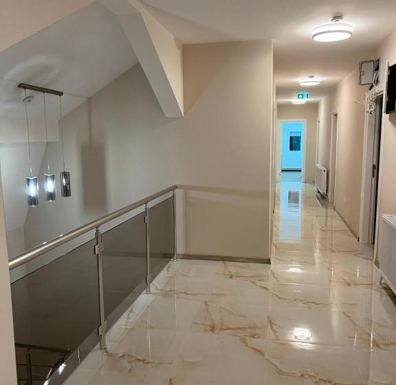 پانسیون Big House