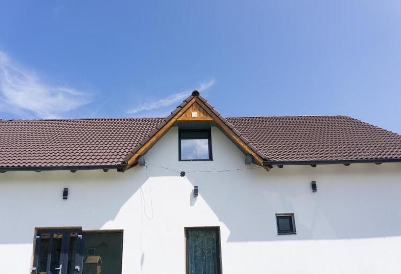 פנסיון Casuta Din Drumul Muntelui