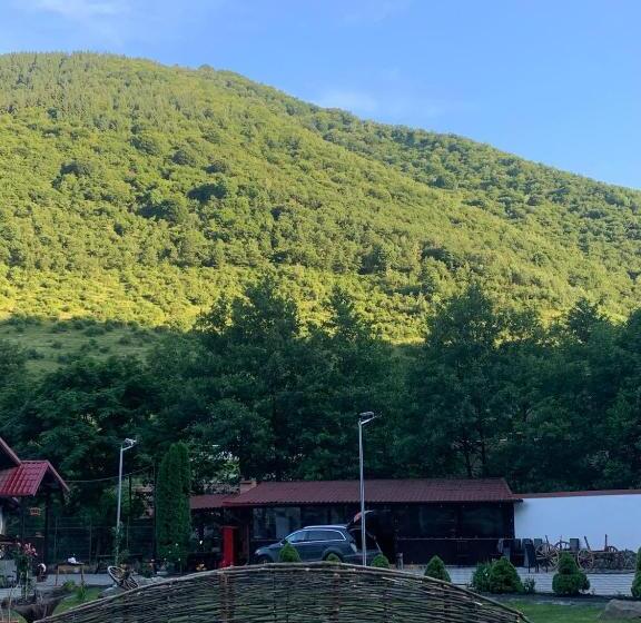 펜션 Lacul De Argint